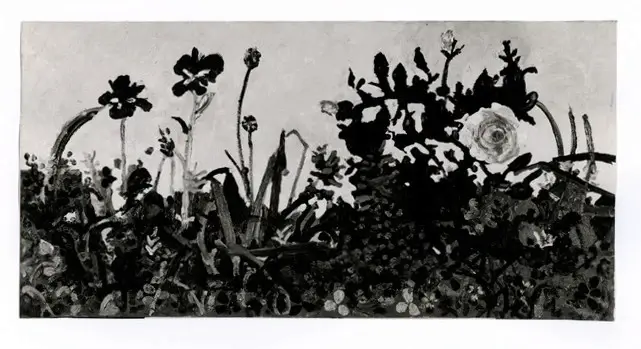 Anonimo , Tabusso, Francesco - sec. XX - Giardino trascurato , fronte