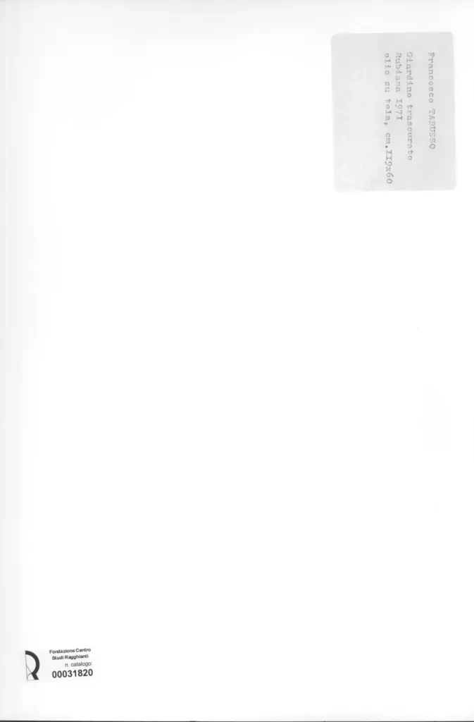 Anonimo , Tabusso, Francesco - sec. XX - Giardino trascurato , retro