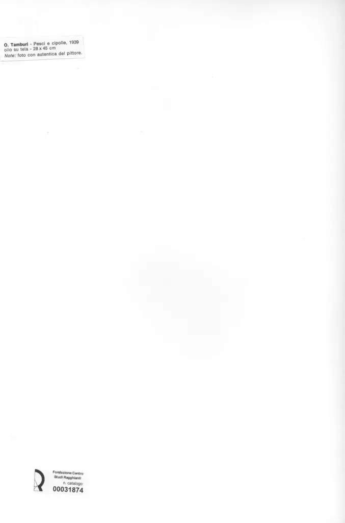 Anonimo, Anonimo , retro