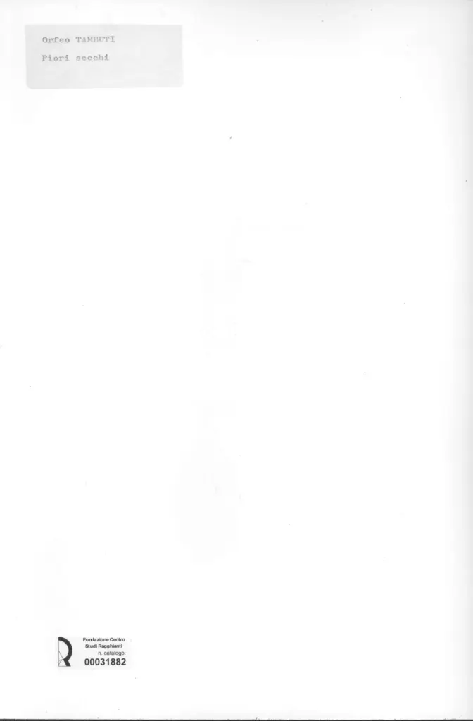 Anonimo, Anonimo , retro