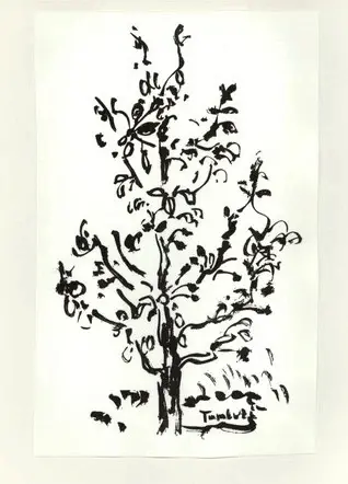 Anonimo, Anonimo , fronte