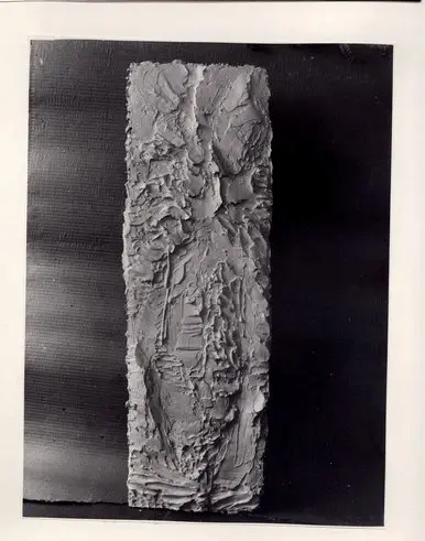 Anonimo, Anonimo , fronte