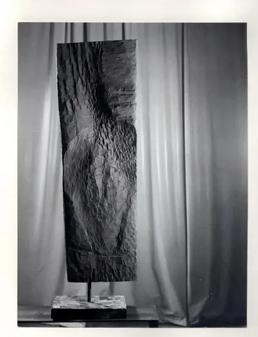 Anonimo, Anonimo , fronte