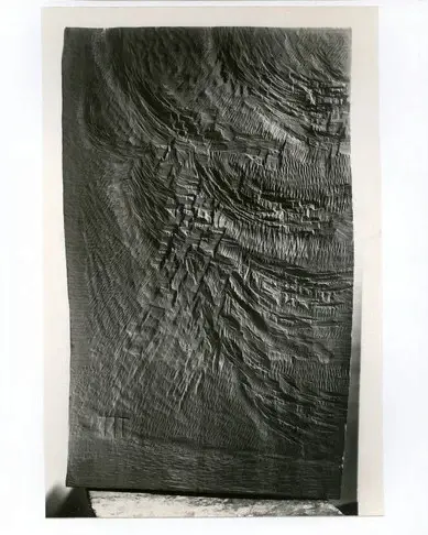 Anonimo, Anonimo , fronte