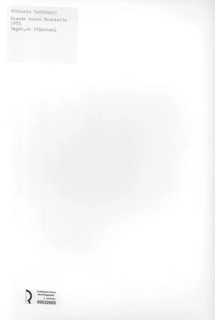 Anonimo, Anonimo , retro