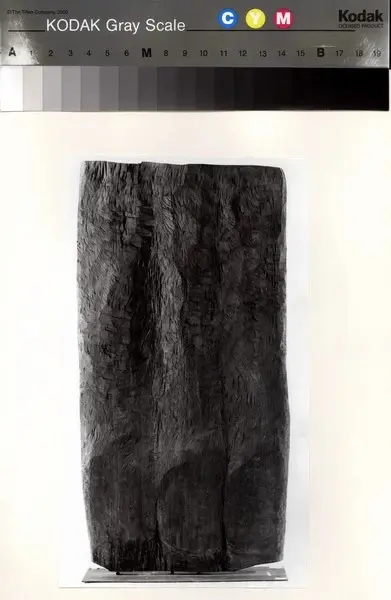 Anonimo , Tavernari, Vittorio - - , fronte