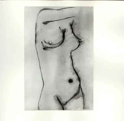 Anonimo, Anonimo , fronte