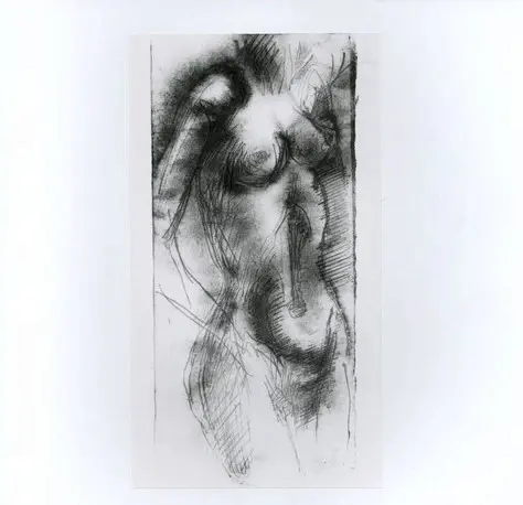 Anonimo, Anonimo , fronte