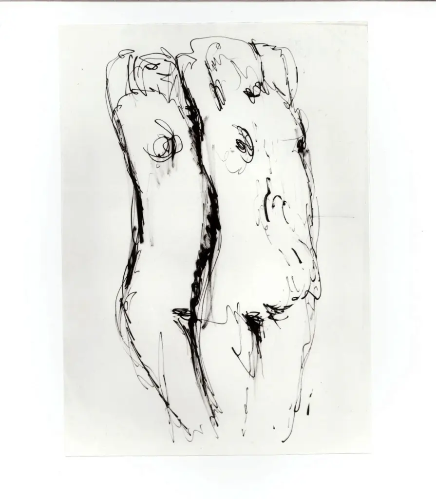 Anonimo, Anonimo , fronte