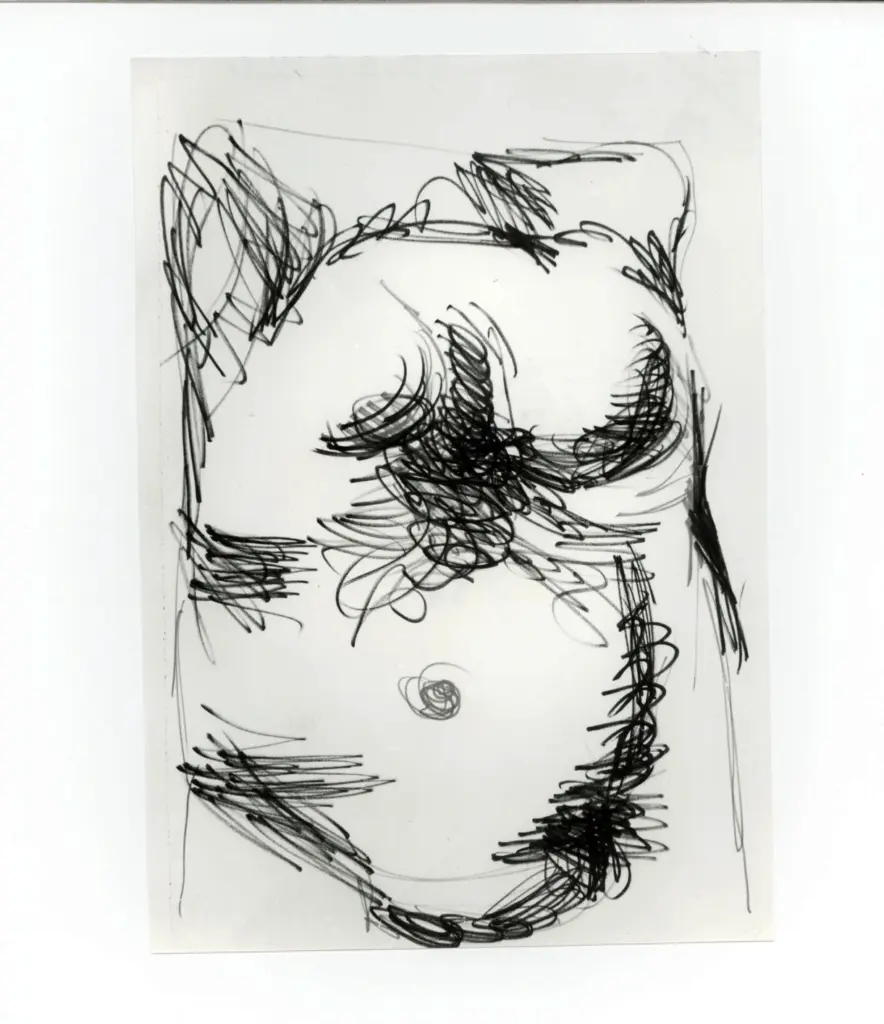 Anonimo, Anonimo , fronte