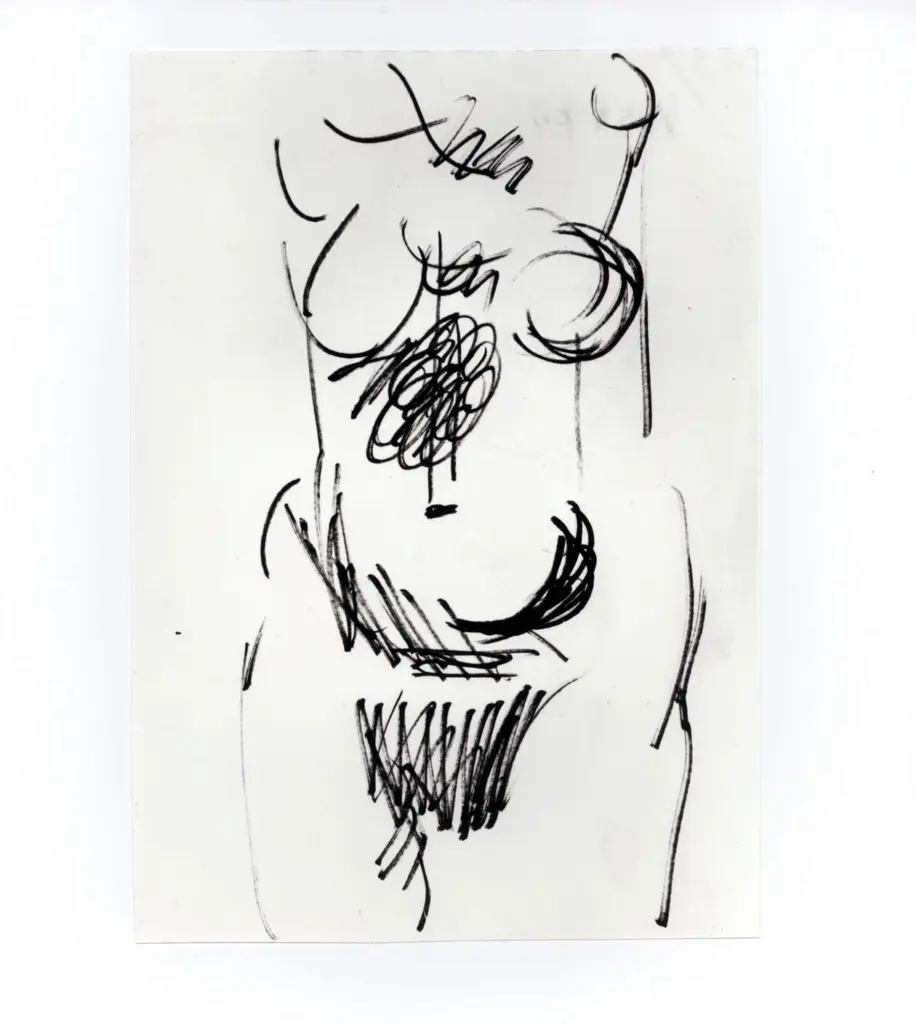 Anonimo, Anonimo , fronte