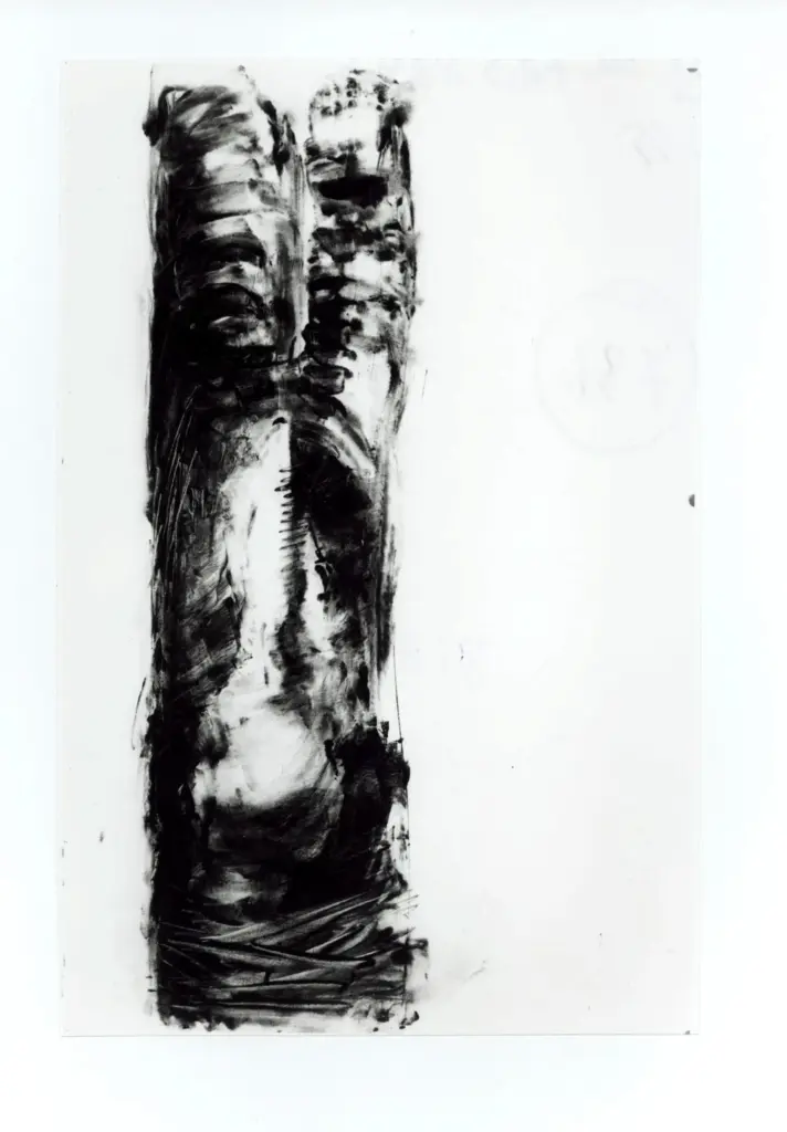 Anonimo, Anonimo , fronte