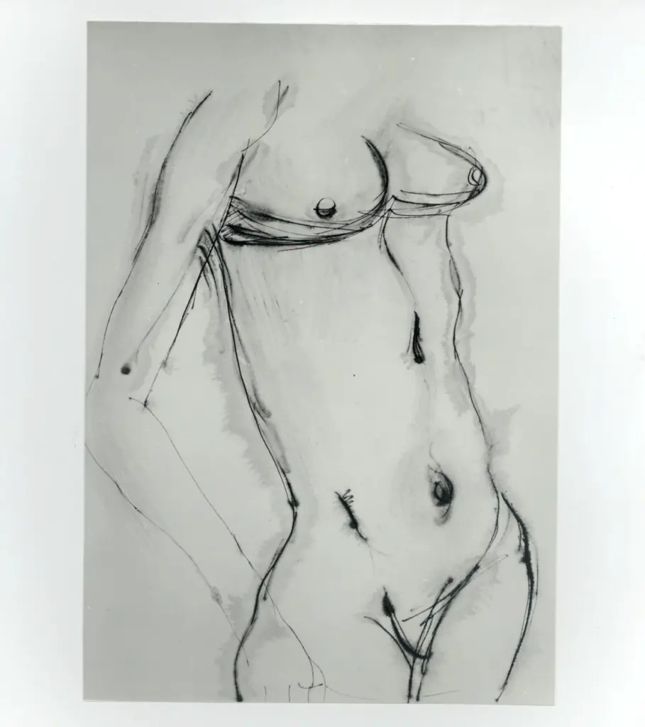 Anonimo, Anonimo , fronte