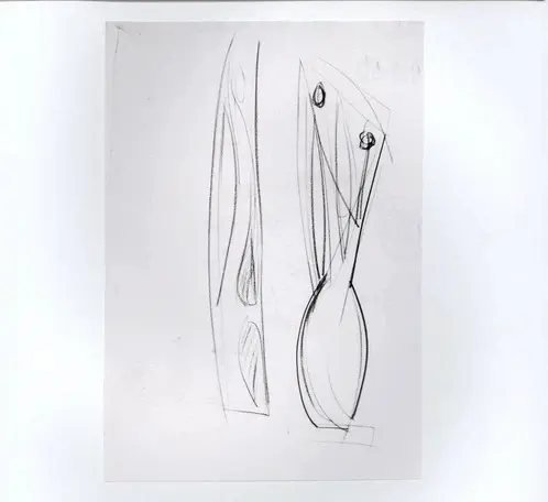 Anonimo, Anonimo , fronte