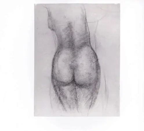 Anonimo, Anonimo , fronte