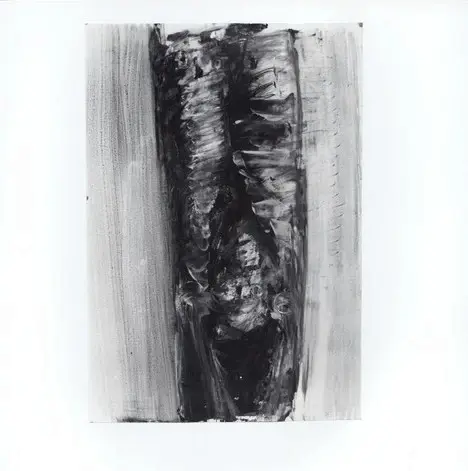 Tavernari, Vittorio , n. 844