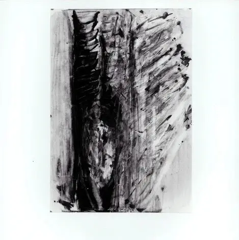 Tavernari, Vittorio , n. 843