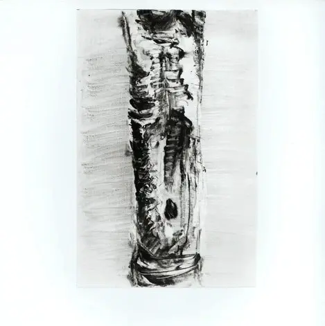 Anonimo, Anonimo , fronte