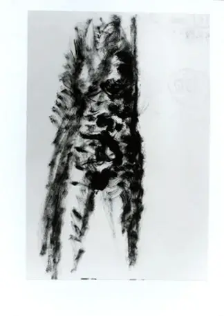 Anonimo, Anonimo , fronte