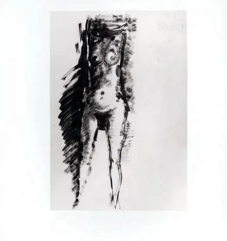 Anonimo, Anonimo , fronte