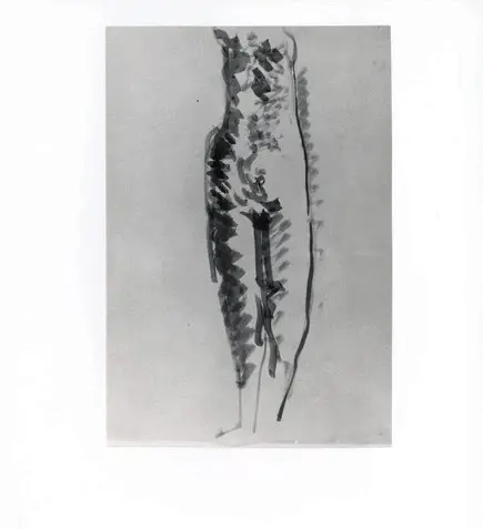 Anonimo, Anonimo , fronte