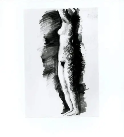 Anonimo, Anonimo , fronte