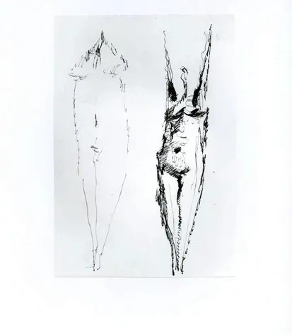 Anonimo, Anonimo , fronte