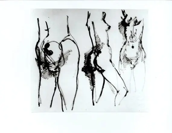 Anonimo, Anonimo , fronte