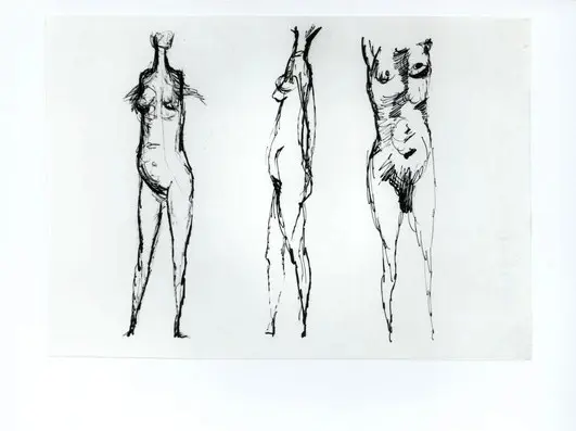 Anonimo, Anonimo , fronte