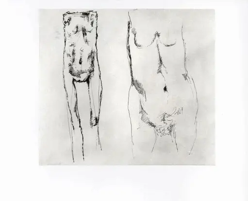 Anonimo, Anonimo , fronte