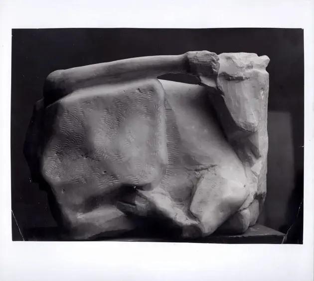 Anonimo , Martini, Arturo - sec. XX - Toro , fronte