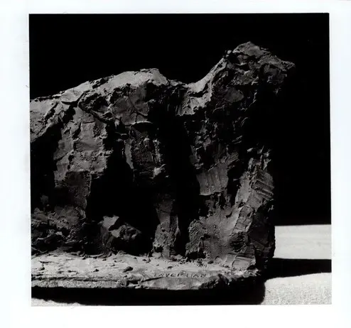 Anonimo, Anonimo , fronte