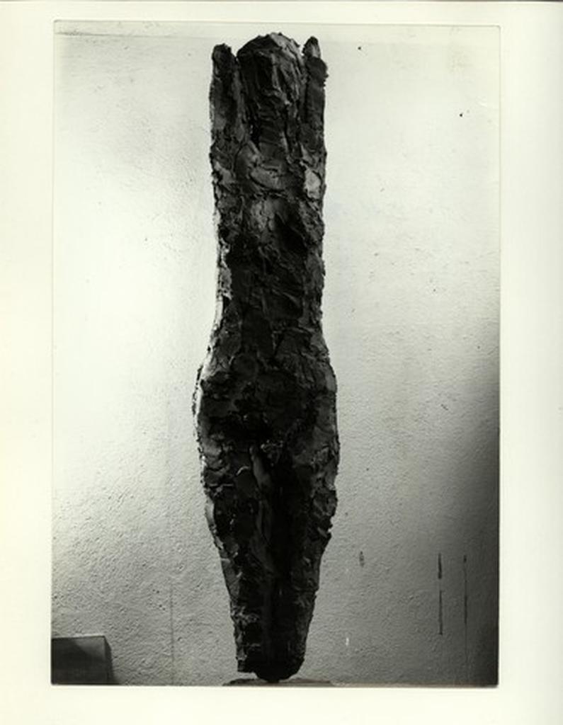 Anonimo , fronte