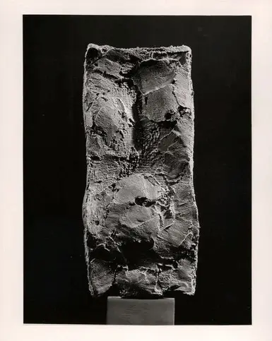 Anonimo , Tavernari, Vittorio - sec. XX - Torsetto verticale , fronte