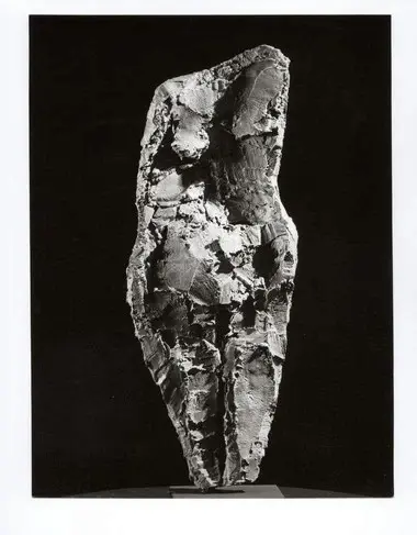 Anonimo , Tavernari, Vittorio - sec. XX - Torsetto , fronte