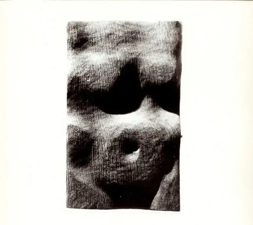 Anonimo, Anonimo , fronte