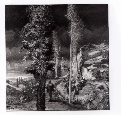 Anonimo, Anonimo , fronte