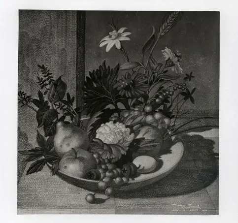 Anonimo, Anonimo , fronte