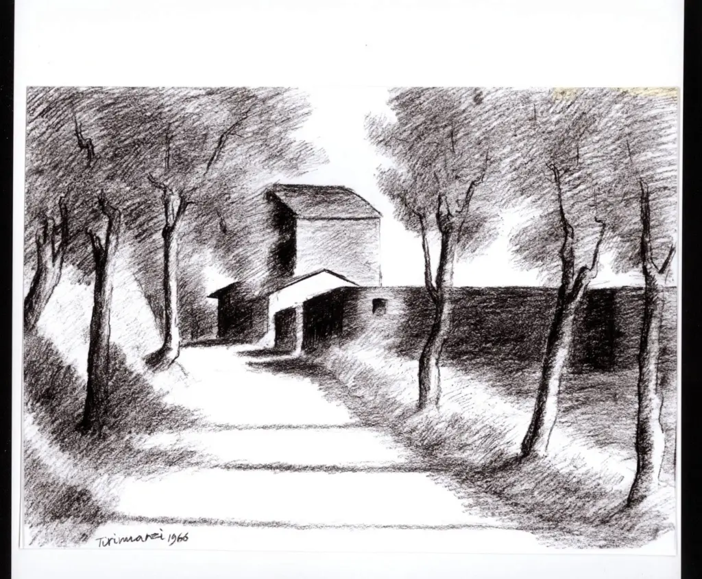 Anonimo , Tirinnanzi, Nino - sec. XX - Strada di campagna , fronte