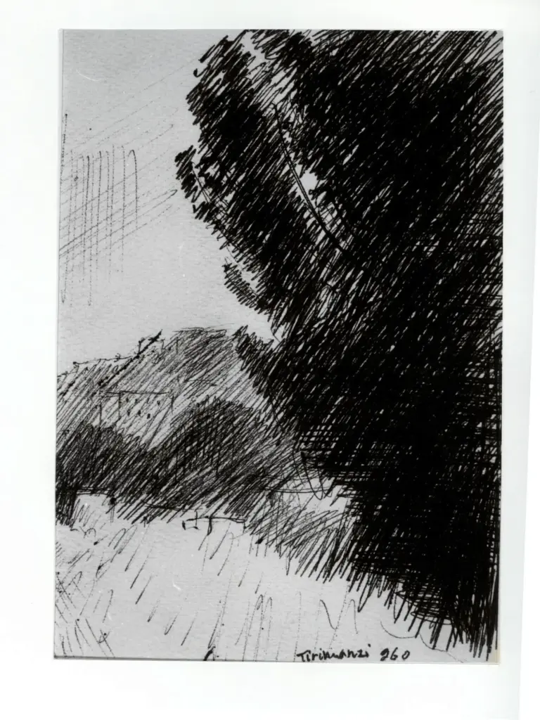 Anonimo , Tirinnanzi, Nino - sec. XX - Paesaggio con cipresso , fronte