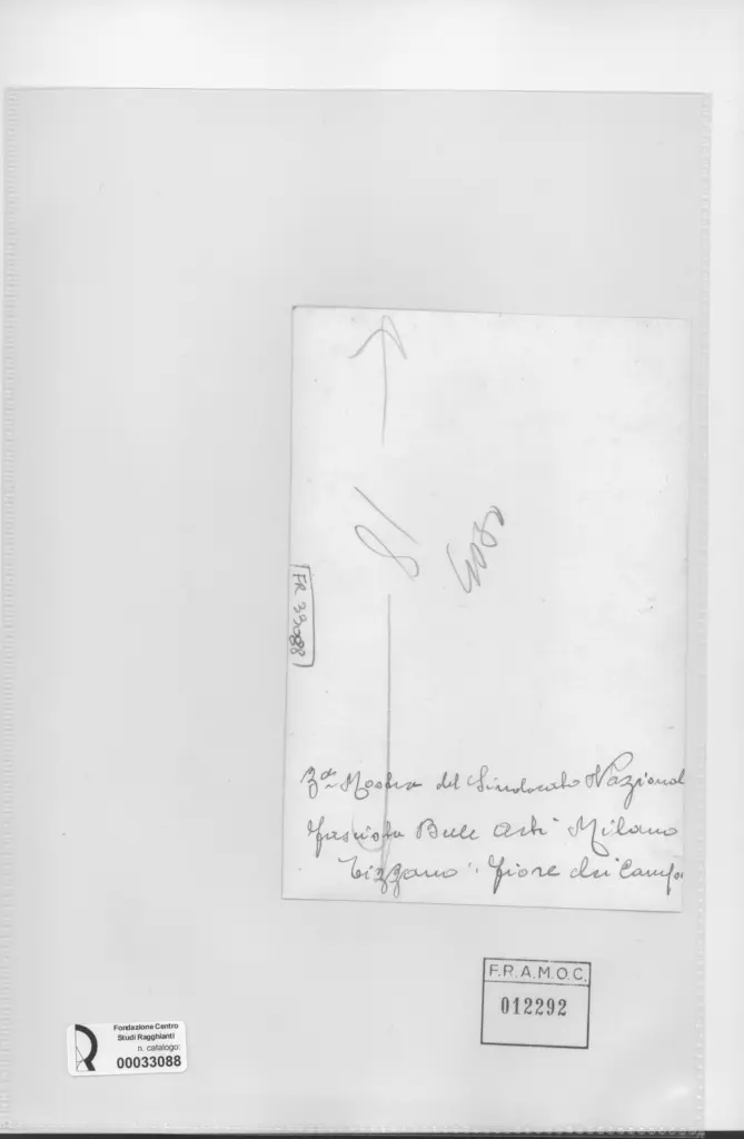 Anonimo , Tizzano, Giovanni - sec. XX - Fiore dei Campo , retro