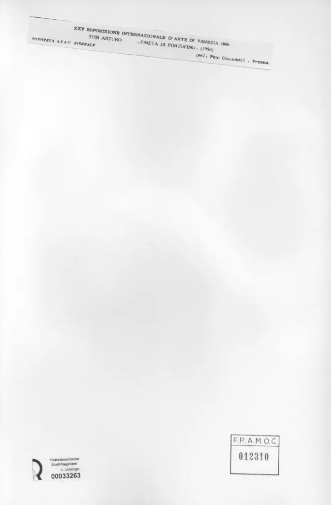 Giacomelli , Tosi, Arturo - sec. XX - Pineta di Portofino , retro