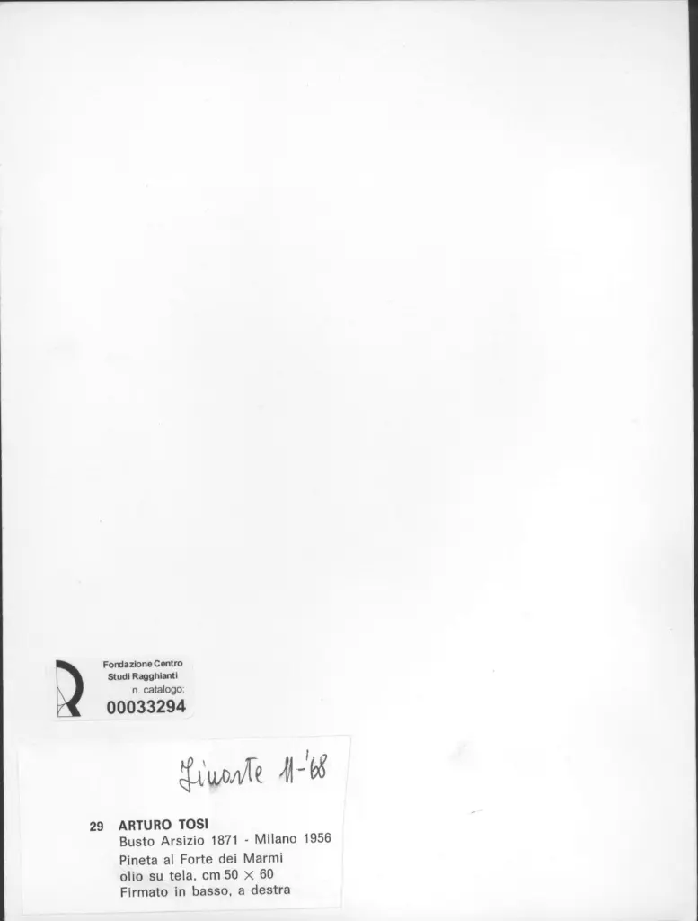 Anonimo , Tosi, Arturo - sec. XX - Pineta al Forte dei Marmi , retro