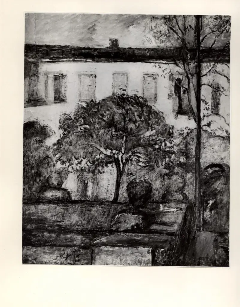 Bacci, Attilio , fronte