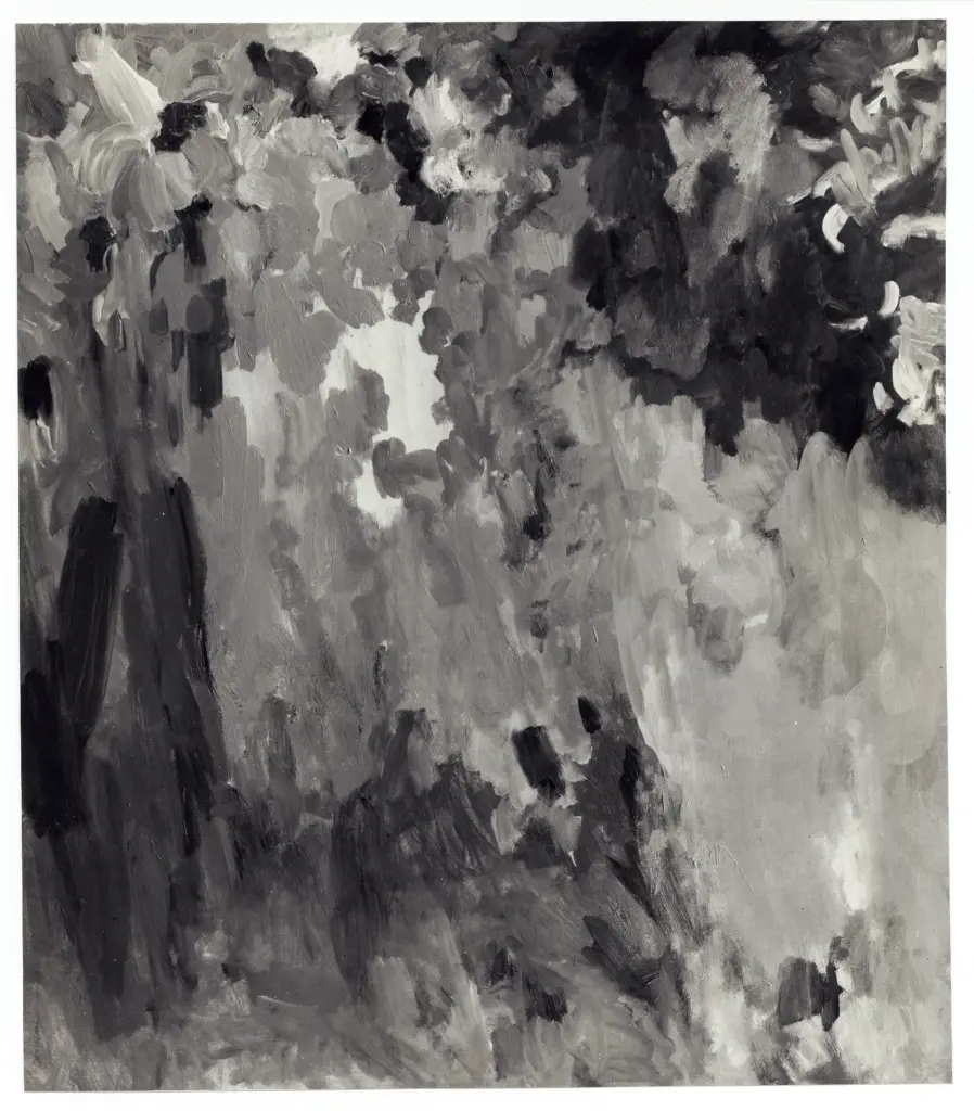 Anonimo, Anonimo , fronte