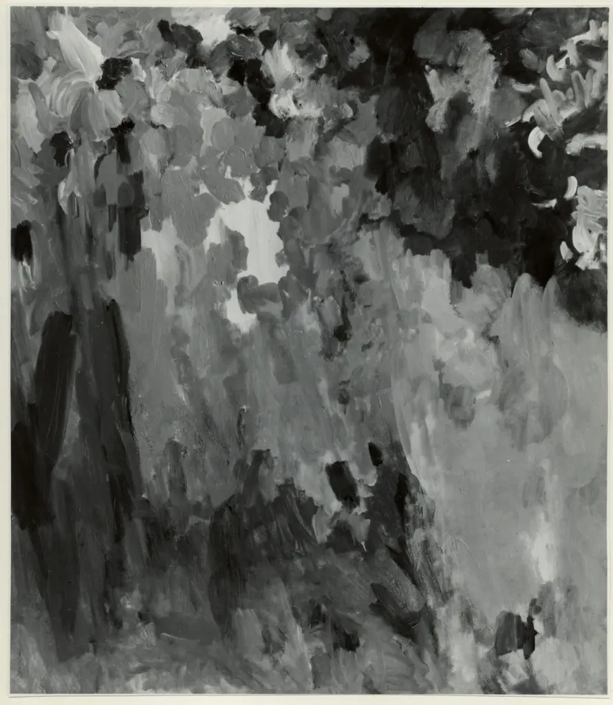 Foto Barsotti , fronte