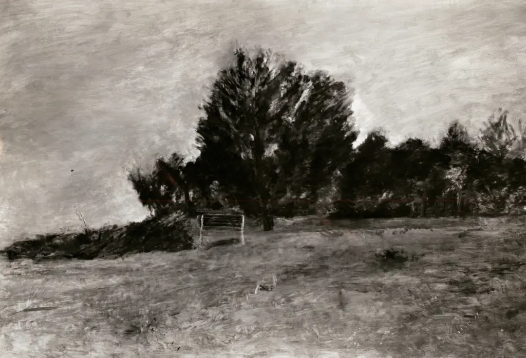 Bacci, Attilio , fronte