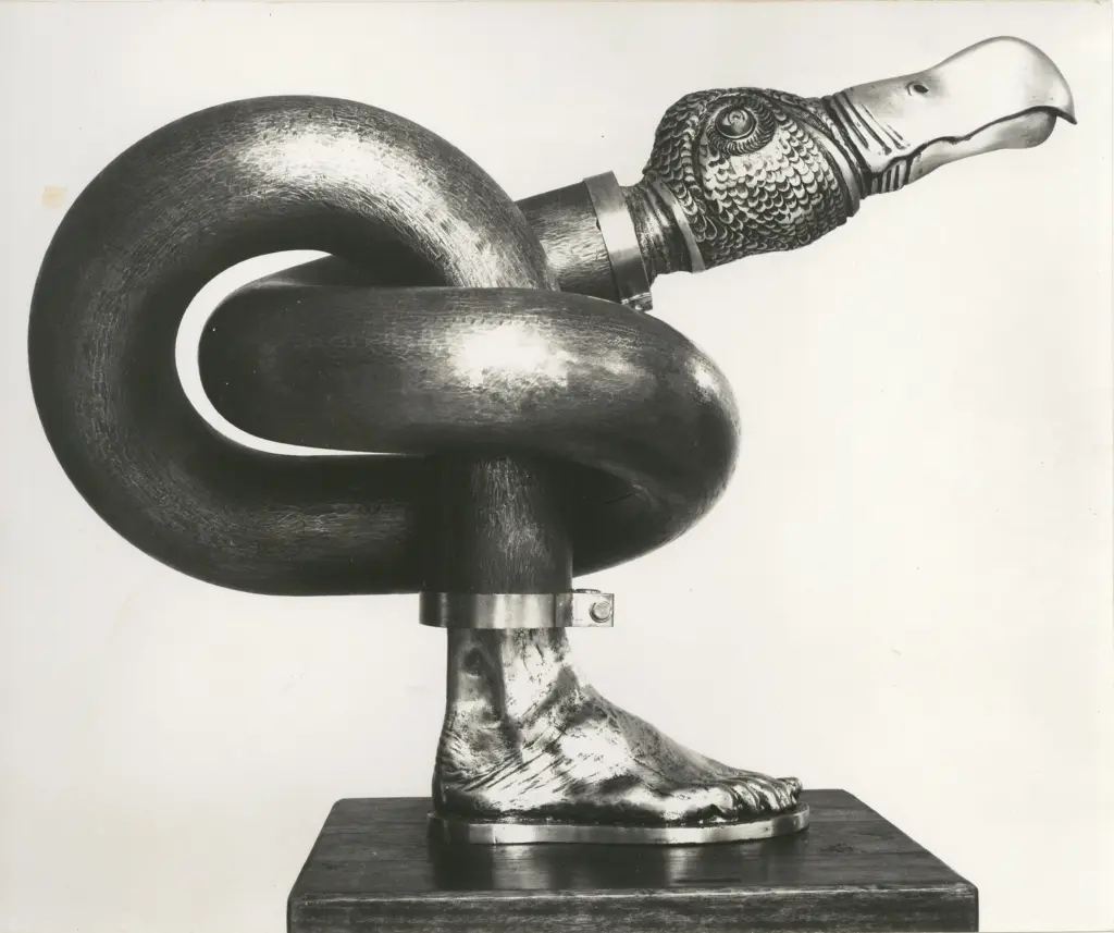 Anonimo, Anonimo , fronte