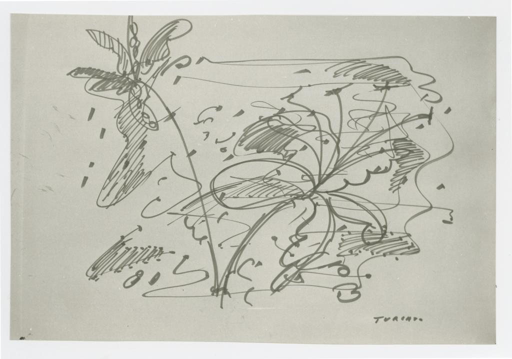 Anonimo , Turcato, Giulio - sec. XX - Due fiori , fronte