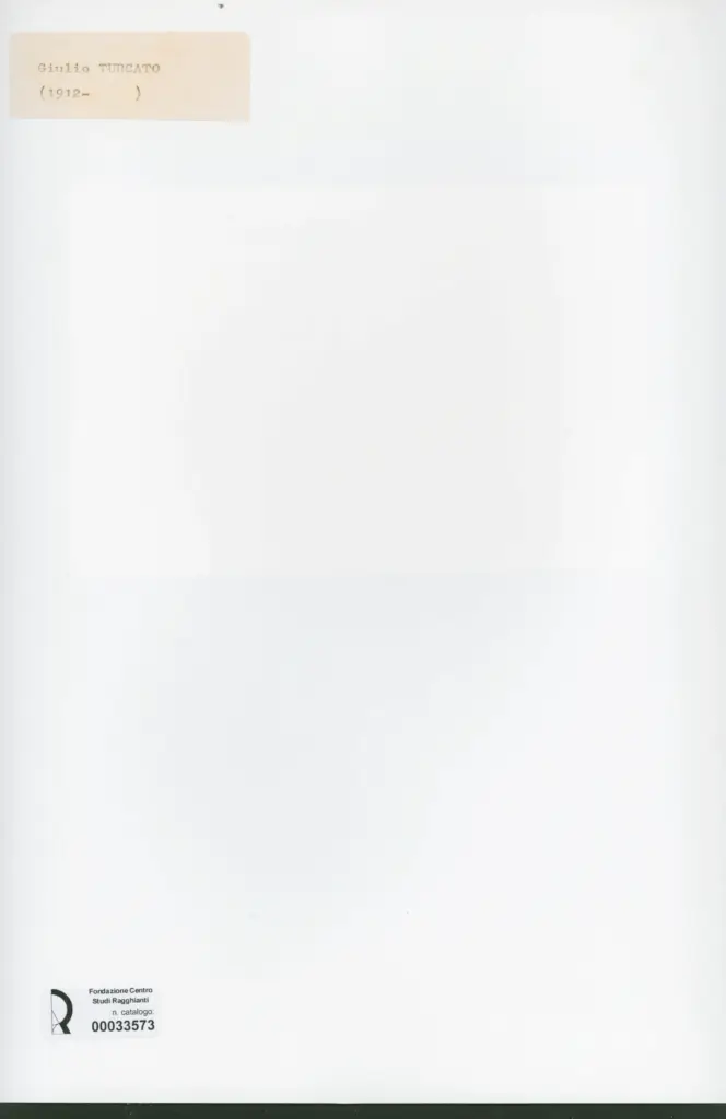 Anonimo , Turcato, Giulio - sec. XX - Due fiori , retro